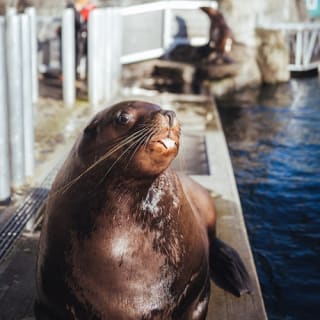 Vancouver Aquarium 12