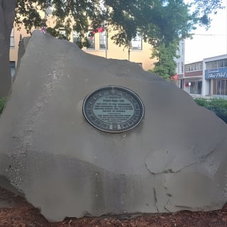 Trivia Tour 7