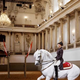 Actuación de los caballos lipizzanos en la Escuela Española de Equitación 5