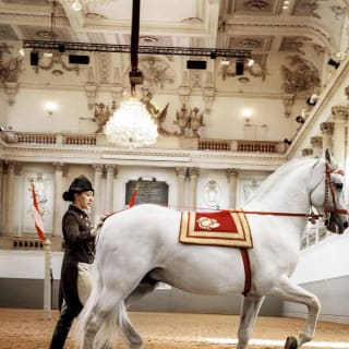 Actuación de los caballos lipizzanos en la Escuela Española de Equitación 6