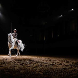 Actuación de los caballos lipizzanos en la Escuela Española de Equitación 8