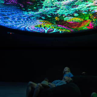 ARTECHOUSE Presents: Fractal Worlds 5