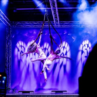 Soirée des Arts: In the Heart of Miami – Immersive Circus & Dance Celebration 4