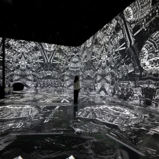 ARTECHOUSE Presents: Fractal Worlds 17