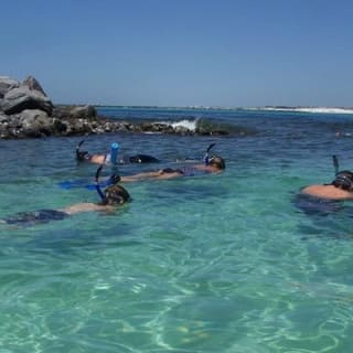Snorkeling, Shelling & Eco Excursion 1
