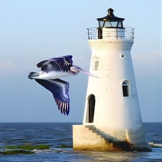 Savannah to Tybee Island with Dolphin Cruise 11