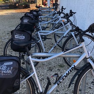 Family friendly cycle tour to Edinburgh's coast  6