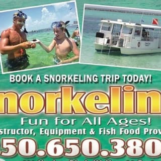 Snorkeling, Shelling & Eco Excursion 2