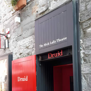 Small-Group Morning Walking Tour of Galway 14