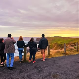 Phillip Island Penguins, Wine Tasting and Dinner from Melbourne 14