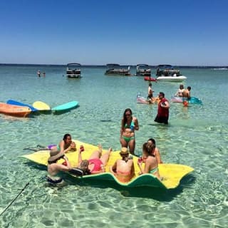 Snorkeling, Shelling & Eco Excursion 5