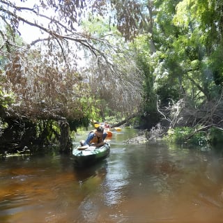 Exclusive Nature Escape Kayak Adventure sur Blackwater Creek 3