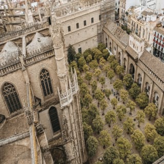 Geführte Tour durch die Kathedrale von Sevilla 3