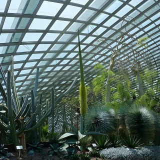 Flower Dome & Supertree Observatory 7