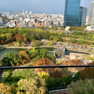 Osaka Highlights: 4-stündige geführte Spaziergangtour mit einem einheimischen Experten 5