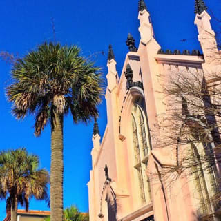 Private Historic Carriage Tour of Charleston 3