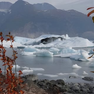 Grand Knik Helicopter Tour - 2 hours 3 landings - ANCHORAGE AREA 7