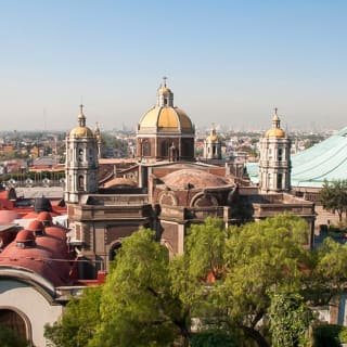 Basilica di Guadalupe: salta la fila e visita guidata 5