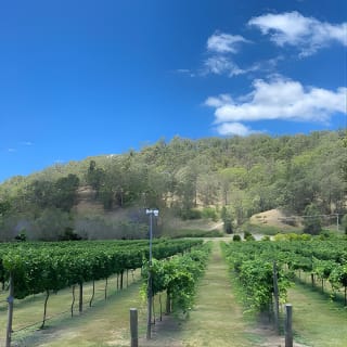 Hinterland Heritage Wine Tour 2