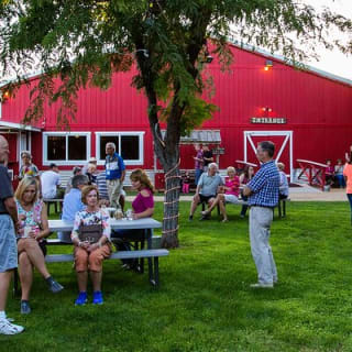 The VIP Experience, Chuck Wagon Dinner and Show Tickets 5