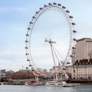 SEA LIFE + London Eye + Shrek’s Adventure! 7