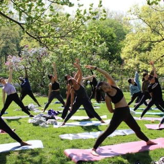 Central Park Yoga Class with a View in the Heart of New York City 5