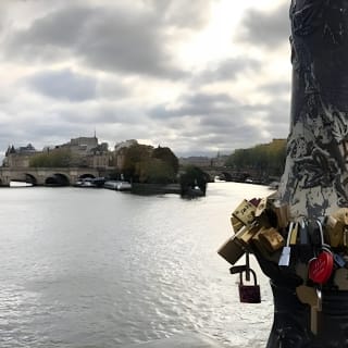 VIP Paris in a Day Tour con Crociera fluviale piccolo gruppo o privato 24