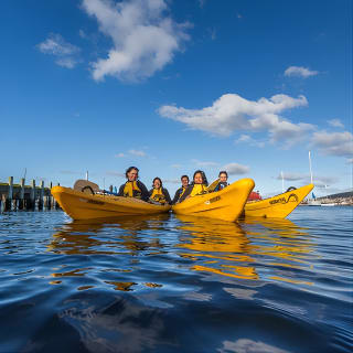 Hobart Kayak Tour 4