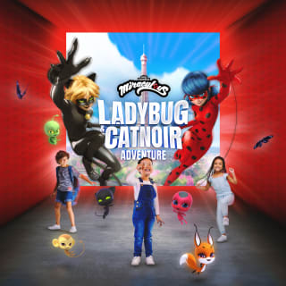 Miraculous Ladybug & Cat Noir Adventure 2