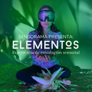Elements: Sensory Dreaming Experience 1