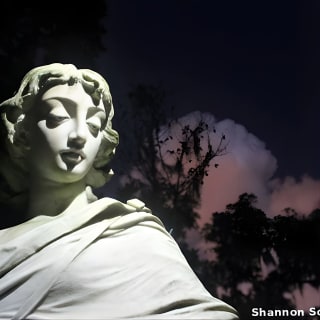Savannah's Bonaventure Cemetery After Hours Group Tour 2