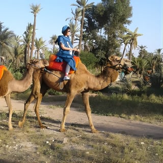 Camel ride at sunset in Marrakech palm grove 4
