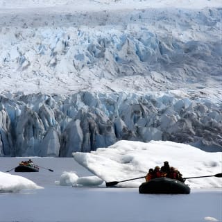 Bears, Trains & Icebergs Tour 7
