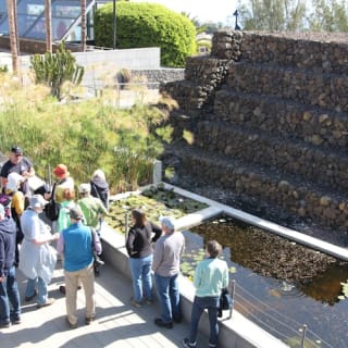 Pirámides de Güímar: Tour guiado 3