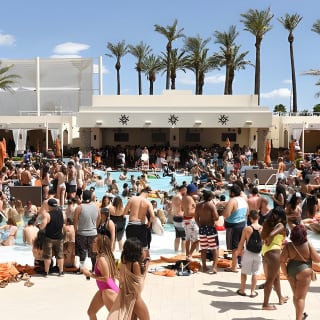 Private Party Bus Dayclub Crawl 2