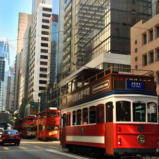 Tour turistico TramOramic più biglietto tram 2 giorni 3