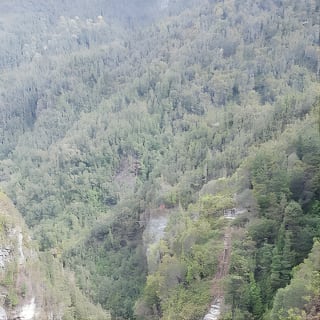 From Hobart: Gordon Dam and Lake Pedder Wilderness Day Tour 5