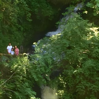 Explore Columbia River Gorge Half-Day Small-Group Tour  25