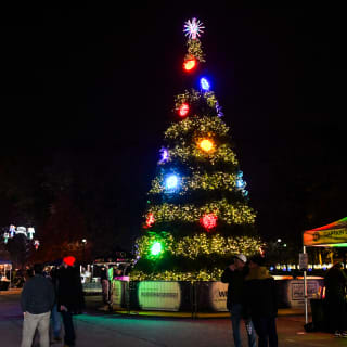 Westchester Winter Wonderland 2026 5