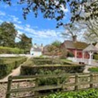 Colonial History Tour in Williamsburg Virginia 10