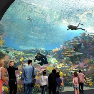 Seattle Aquarium: Entry Ticket 9