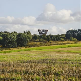 The Forest Tower and Forgotten Giants-A day tour from Copenhagen 12