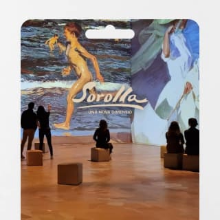 Sorolla, una nueva dimensión - Tarjeta regalo 1