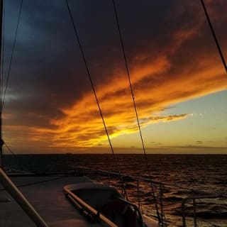 Castaway the Day: Miami Sunset Sail mit Champagne 4