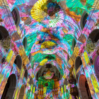 Eonarium FLOW : un spectacle lumineux immersif au Palais de la Bourse 4