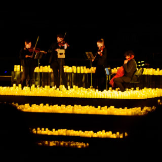 DroneArt Show: Music That Lights Up The Night 4