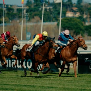 Winers: El mejor festival de vino en el Hipódromo de la Zarzuela 3