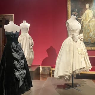 Palazzo Pitti e Galleria Palatina: Ingresso riservato + audioguida 25