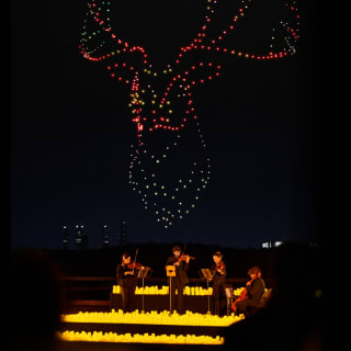 DroneArt Show: Music That Lights Up The Night 7