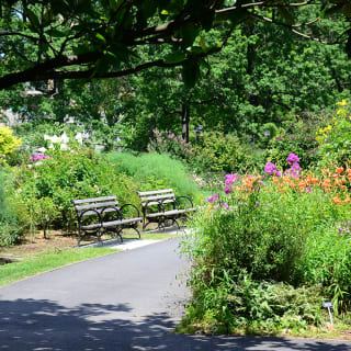 Miffy's 70th Birthday at Queens Botanical Garden 2